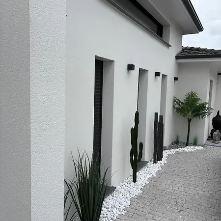 Maison Moderne Avec Piscine *