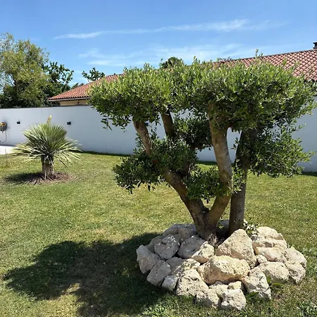 Villa Maison Moderne Avec Piscine *
